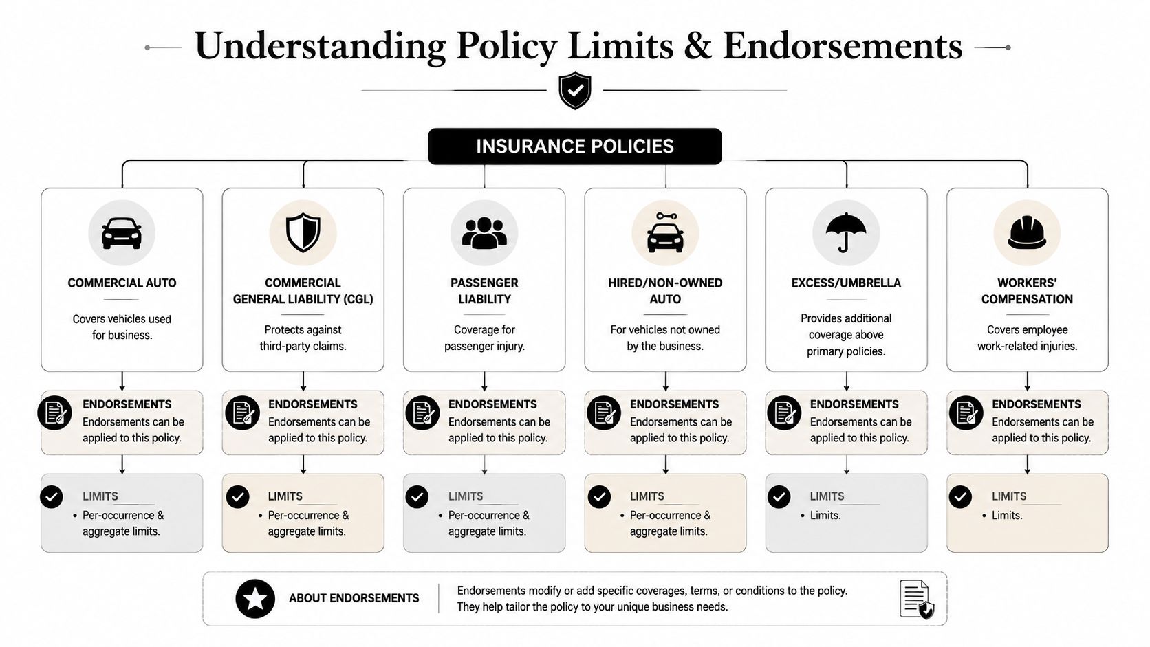 An educational infographic flowchart explaining insurance policies, endorsements, and coverage limits for various business insurance types.